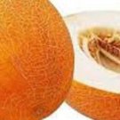 10 Ineya Melon Seeds