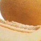10 Titovka Melon Seeds