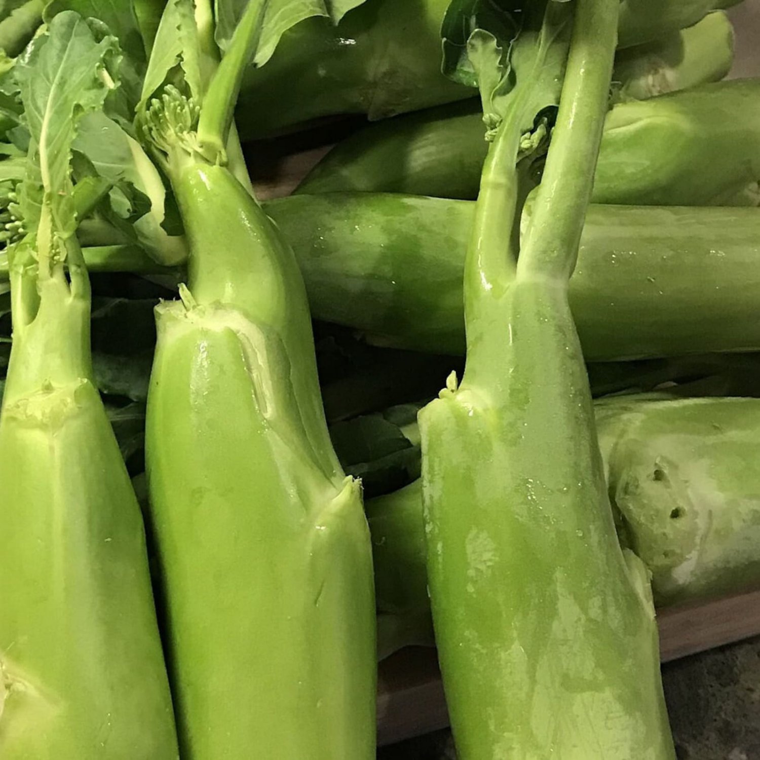 100Chinese Broccoli Big Stem Seeds