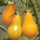 50Yellow Pear Tomato Seeds