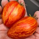 50 Striped Roma Tomato Seeds