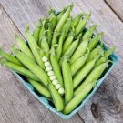 50Sugar Ann Snap Pea Seeds