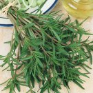 500 Herb Summer Savory Seeds
