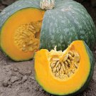 20 Japanese Kabocha Squash Seeds