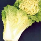 1000 Japanese Fluffy Top Type Kogane Seeds