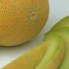10 Passport Melon Seeds