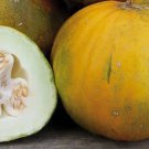 50 Melon Collectiver Farm Women Seeds