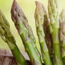 100Uc 157 F2 Asparagus Seeds
