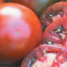 25 Japanese Black Truffle Tomato Seeds