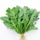 1000 Garland Serrated Leaf Seeds