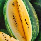 20 Mountain Sweet Watermelon Seeds