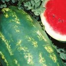 10 Starbrite Watermelon Seeds