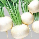 100 Japanese Oasis Turnip Seeds