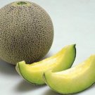 50 Japanese Melon Ichiba Kouji Seeds Organic