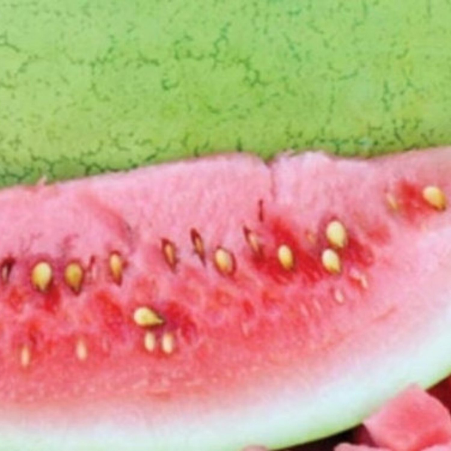 20 Cherry Grande Watermelon Seeds