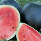 50 Blacktail Mountain Watermelon Seeds