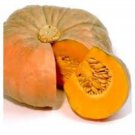 50 Thai Pumpkin Seeds Organic