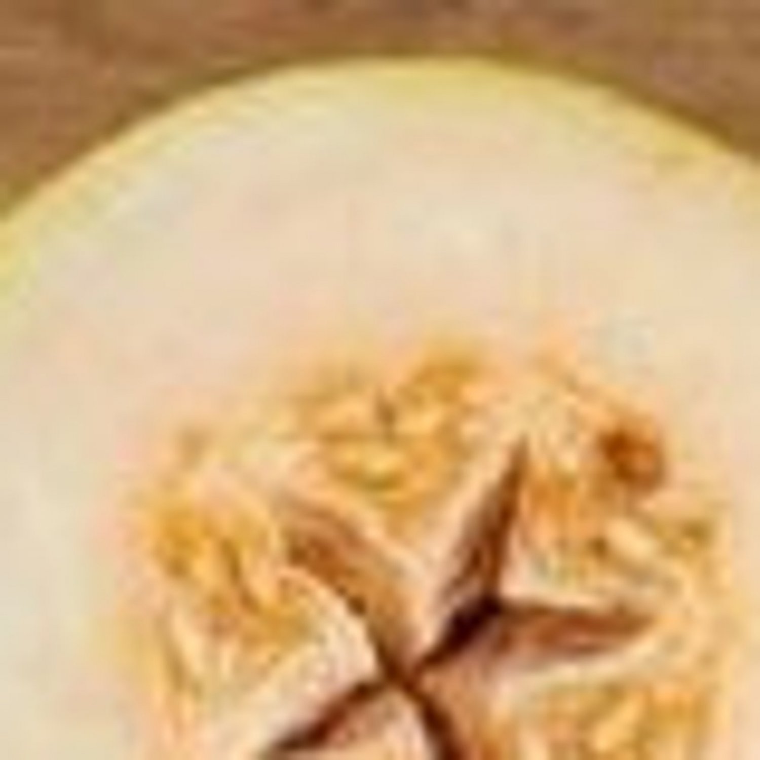 10 Alusta Melon Seeds
