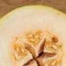 10 Alusta Melon Seeds