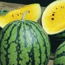 50 Baby Doll Watermelon Seeds