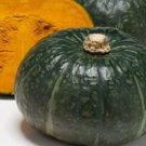 50 Japanese Squash Sweet Mama Seeds