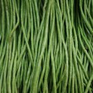 50 Orient Wonder Bean Seeds