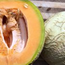 50 Amish Melon Seeds Organic