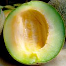 10 Ice Cream Melon Seeds