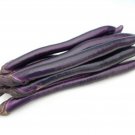 100 Taiwan Eggplant Pingtung Long Seeds