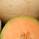 10 Fantasy Melon Seeds
