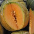 20 French Melon Petit Gris De Rennes Seeds Organic