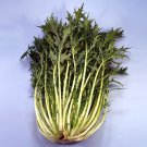 1000 Japanese Mustard Mizuna Early