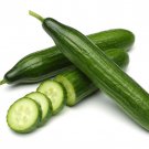 Cucumis Sativus Long Green Garden Cucumber Gherkin 10 Seeds