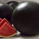 Black Diamond Watermelon Seed