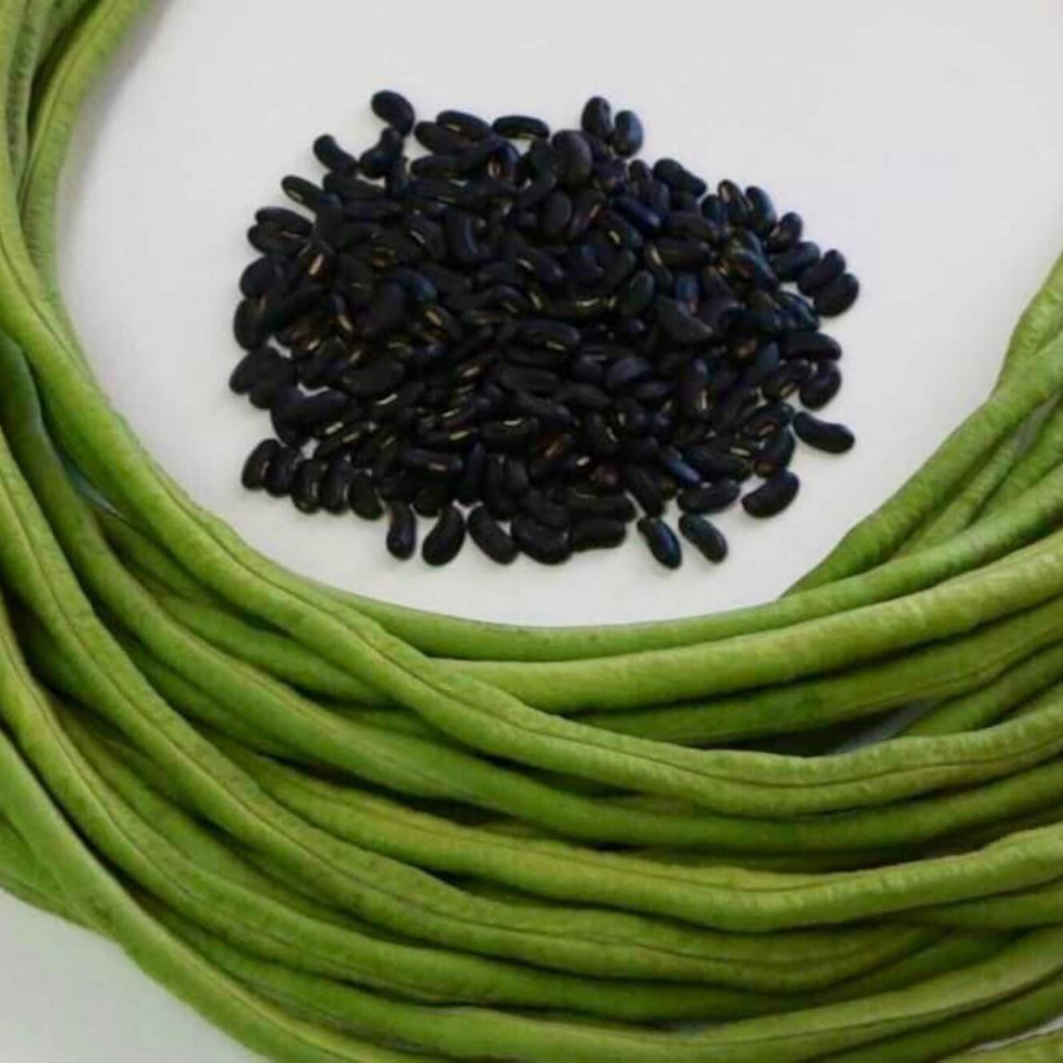 Saisawan Yard Long Bean Black Seed