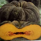 Thai Super Big Pumpkin Seed
