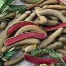 Siam Ruby Sour Tamarind Seed 10 Seeds