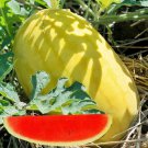 Golden King Watermelon Seed Thai Golden King Watermelon Seed