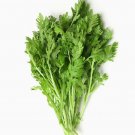 Garland Chrysanthemum Seed Shungiku Seed