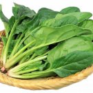 Viroflay Spinach Seed