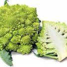 Romanesco Broccoli Seed
