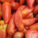 Grandma Marys Paste Tomato Seeds Grown To Organic Standards