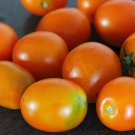 Ida Gold Dwarf Tomato Seeds Vegetable Seeds Seed Packets Idaho Bred Very Early