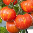 Skyreacher Tomato 20 Seeds Red And Orange Striped Grown To Organic Standards