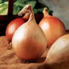 Ailsa Craig Onion Seeds Exhibition Vegetable Seeds Huge Bulbs Scottish Variety