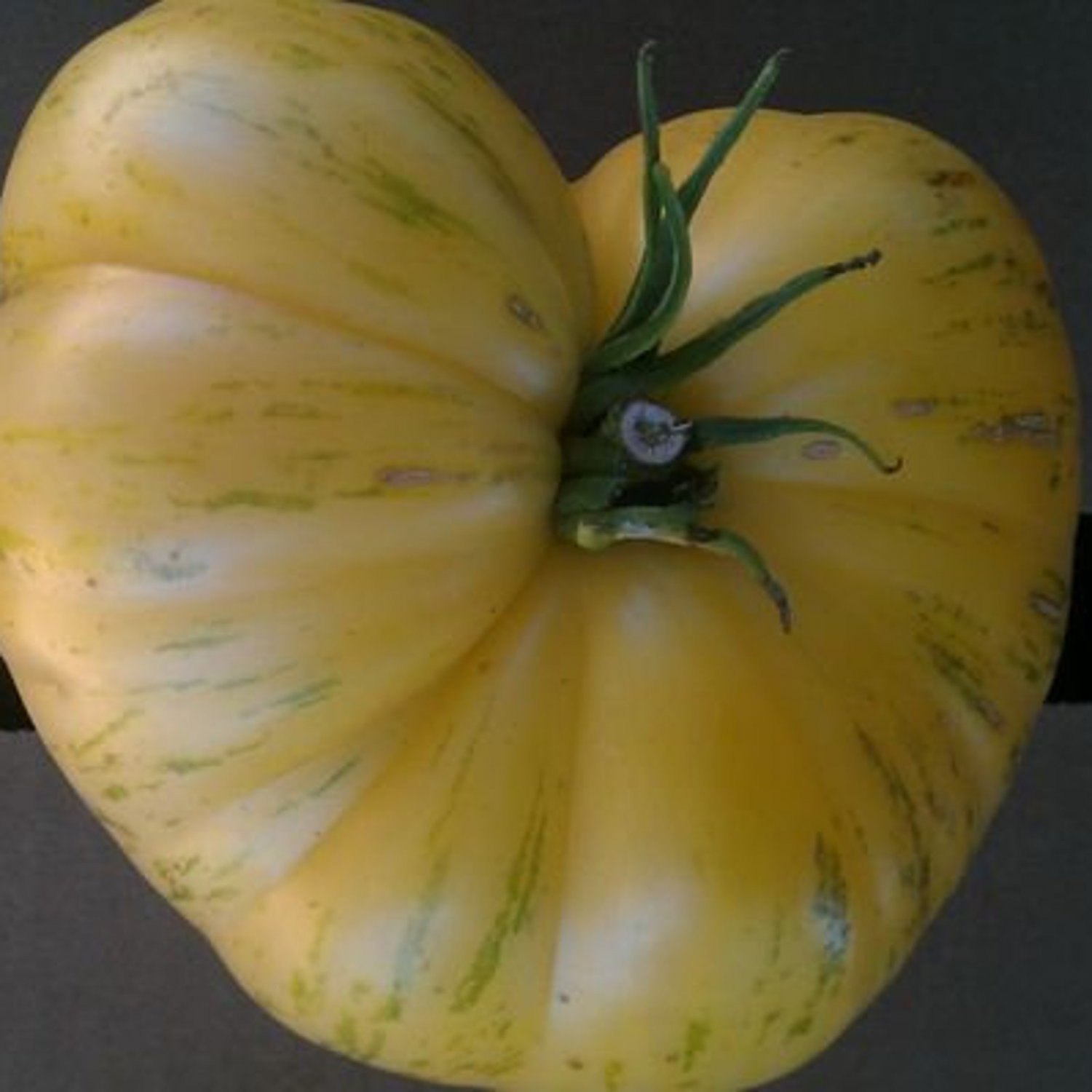 Wild Boar Pineapple Pig Tomato Modern Seeds Brad Gates Wild Boar Farms Intro Vegetable