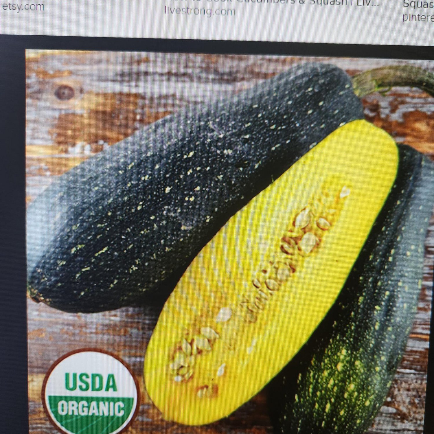 Dostal Cucumber Winter Summer Squash Seeds Vegetable Seeds Seed Packets Rare
