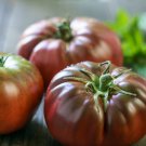 Black Brandywine Beefsteak Tomato Weaver Strain Seeds Grown To Organic Standards
