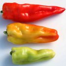 Aconcagua Giant Sweet Pepper