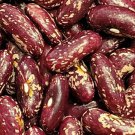 Bert Goodwin Half Runner Kidney Bean Maine Seeds Grown To Organic Standards All Around